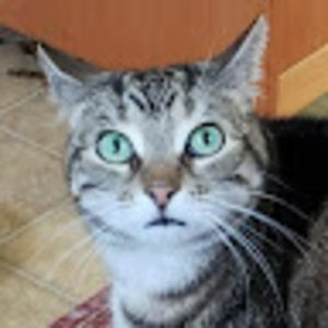 Meet your Posher, Nick